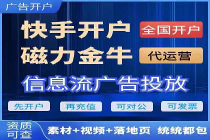 某品牌SEM广告投放的ROI提升案例
